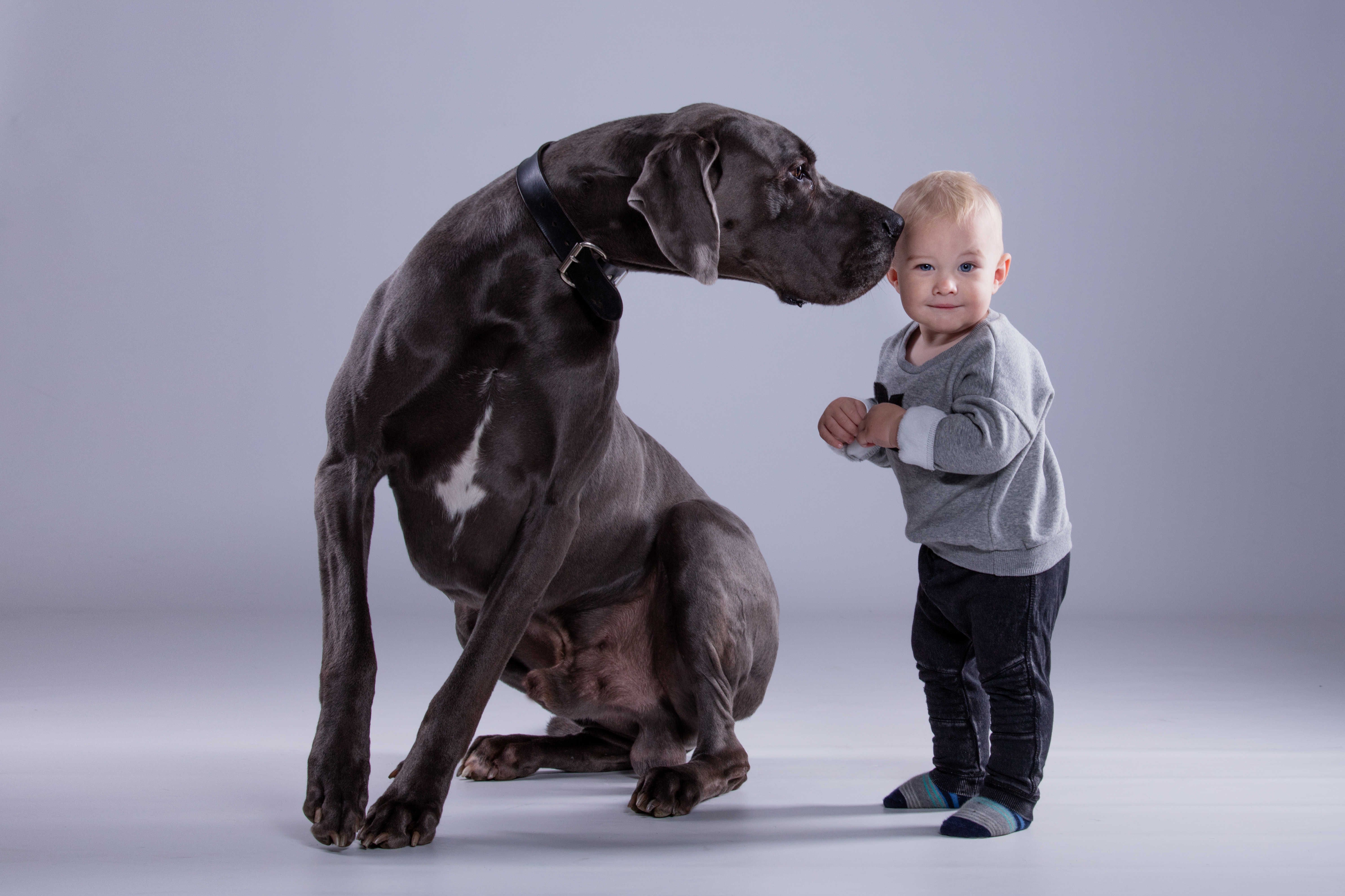 Billede af baby og hund