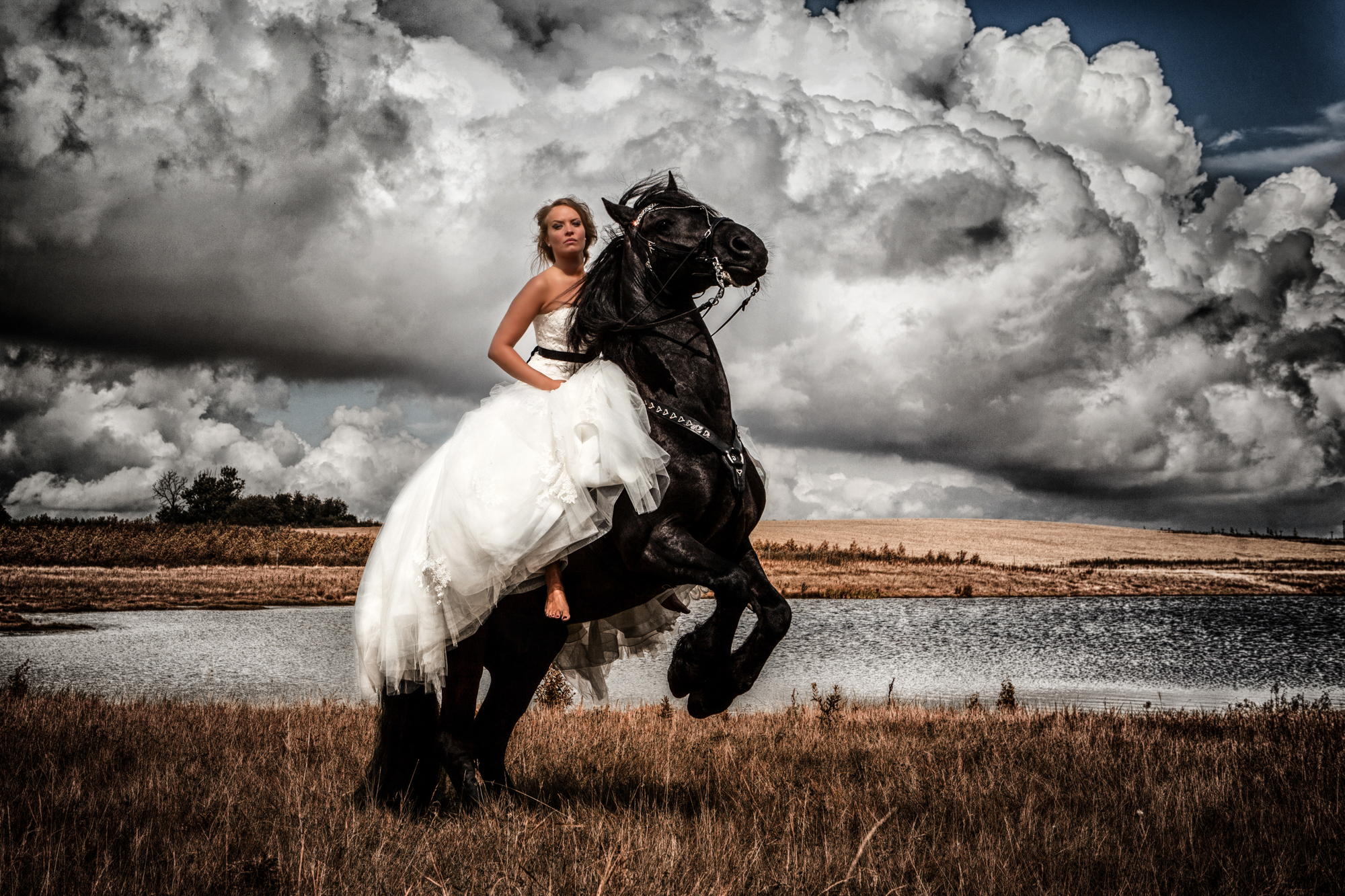 Dramatisk bryllupsbillede af brud på hest