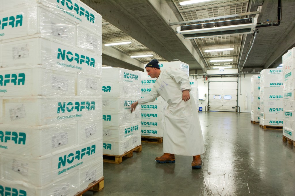 Erhvervsfotograf i Sønderjylland